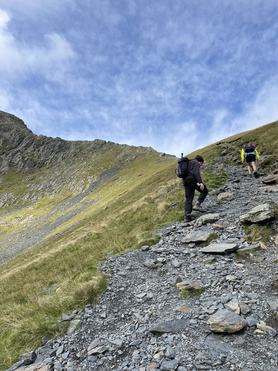 Adam Lines tweet media