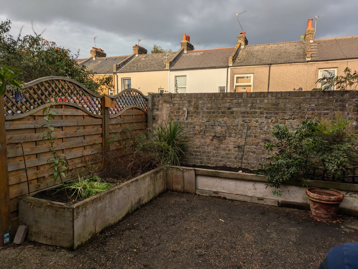 Hope Garden tweet media