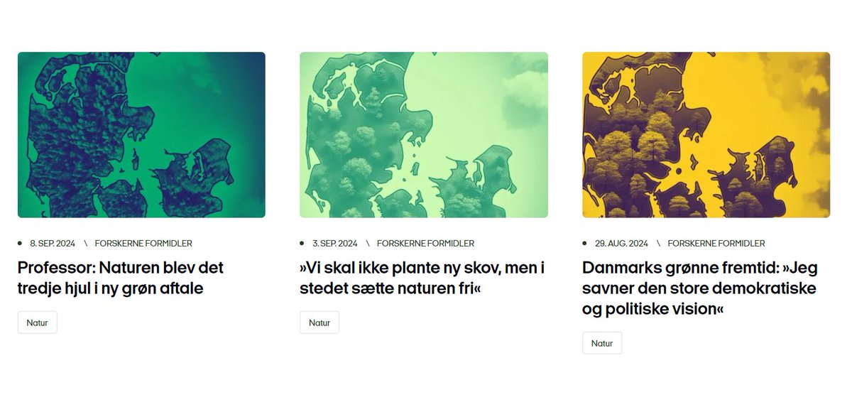 Morten DD tweet media