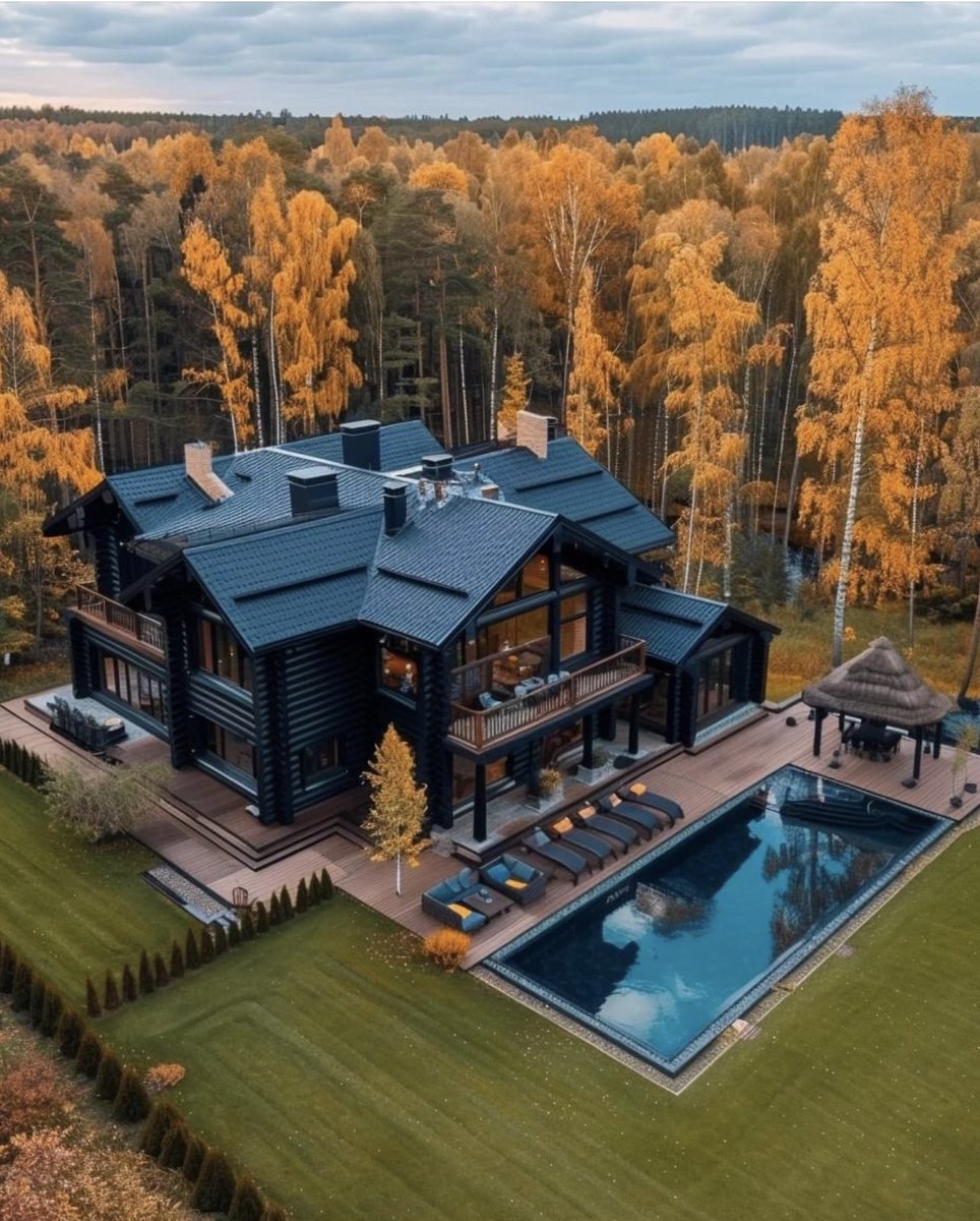 Views and Travel tweet media