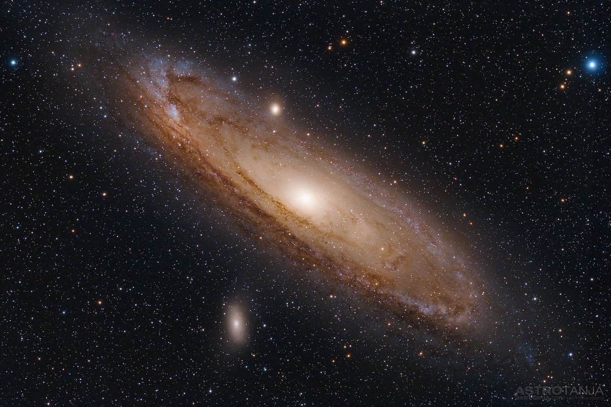 AstroTanja tweet media
