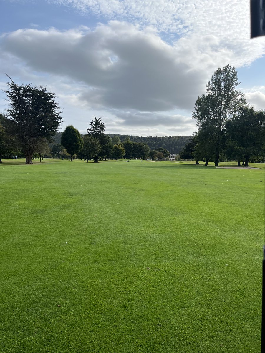 Today’s office view #woodenbridge 🇮🇪