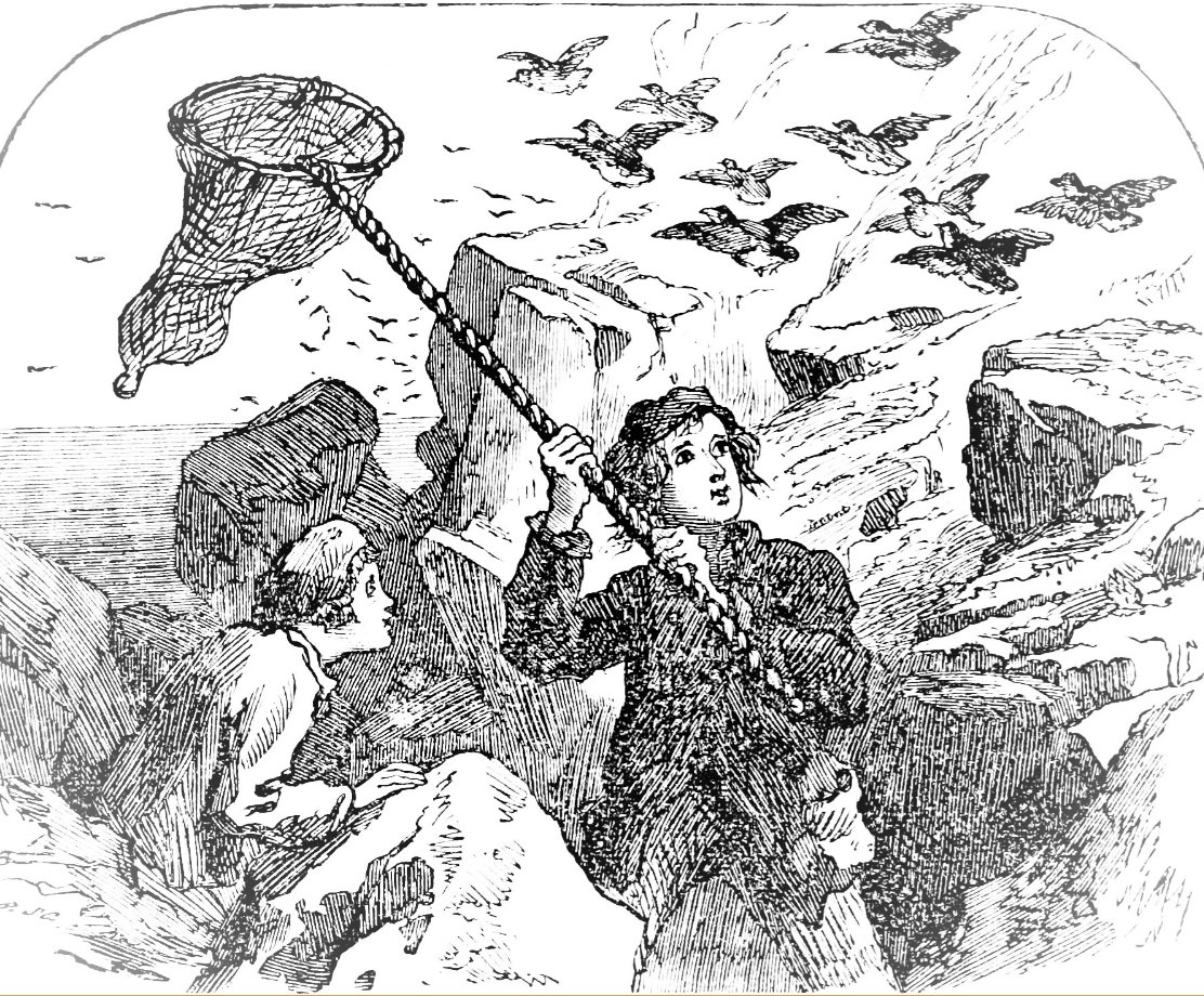 Keats-Shelley Journal+  Special Issue Release: Commonplacing &amp; Commonplace Books, Vol. 2. k-saa.org/commonplacing-… This volume places special emphasis on the relationship commonplacing has to pedagogy, creativity, and audience.