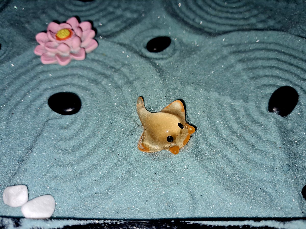 FenixCbt's tweet photo. A cute new addition to our Zen Garden, a very sweet and thoughtful gift from one of our clients 😍🐡😃
#leedsclinic #mentalwellbeing #mentalhealthsupport #cbttherapistleeds #cbt #cbttherapy #dbtleeds #dbttherapy #dbttherapist #autism #autismtherapy  #adhd #adhdtherapy https://t.co/Yrb4LSPkMh