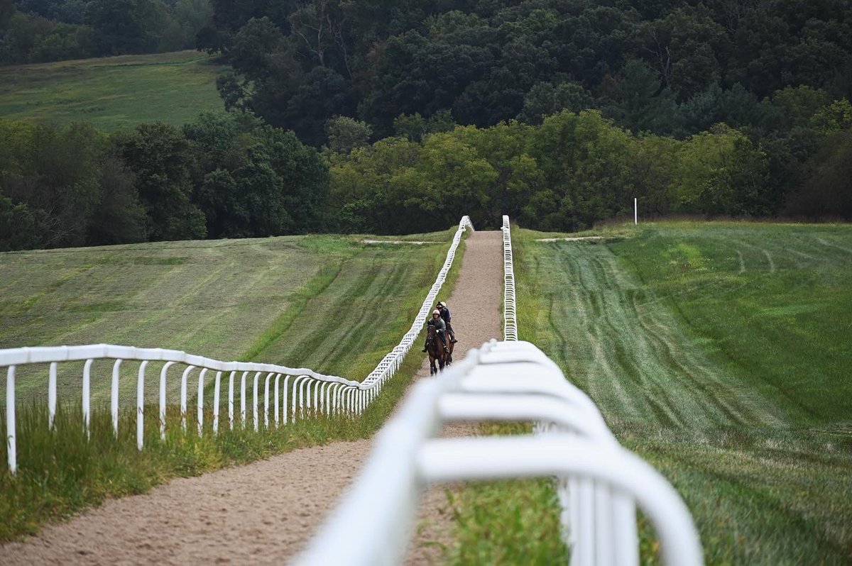 Ashwell Stable, LLC tweet media