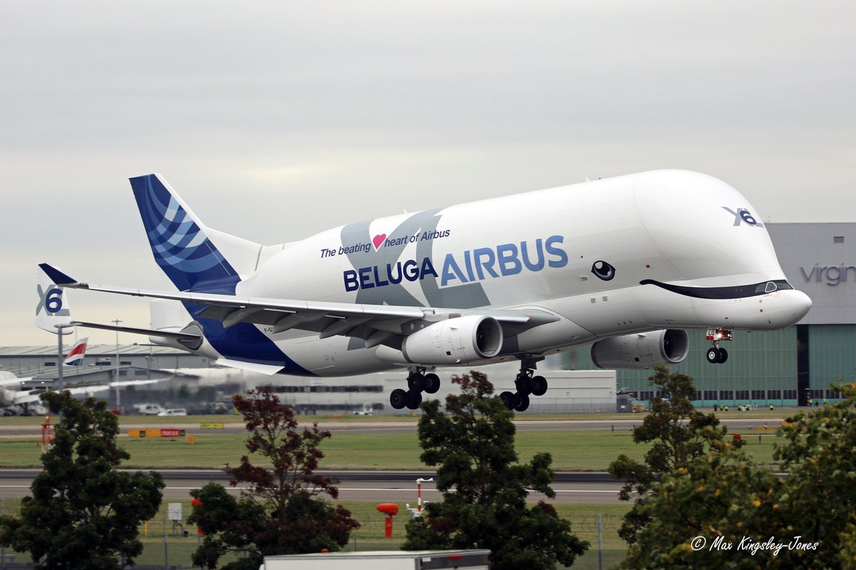 Max Kingsley-Jones tweet media