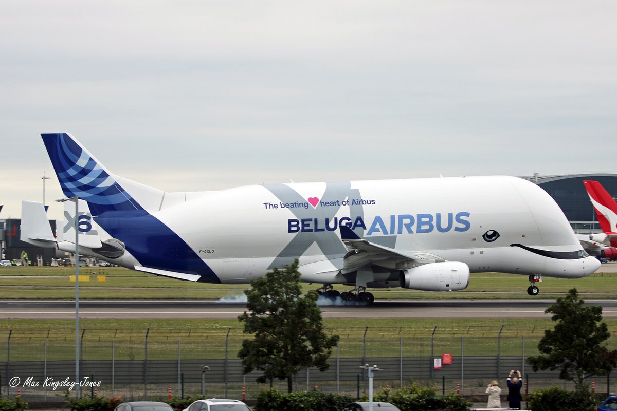 Max Kingsley-Jones tweet media