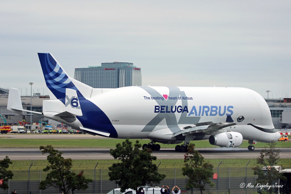 Max Kingsley-Jones tweet media