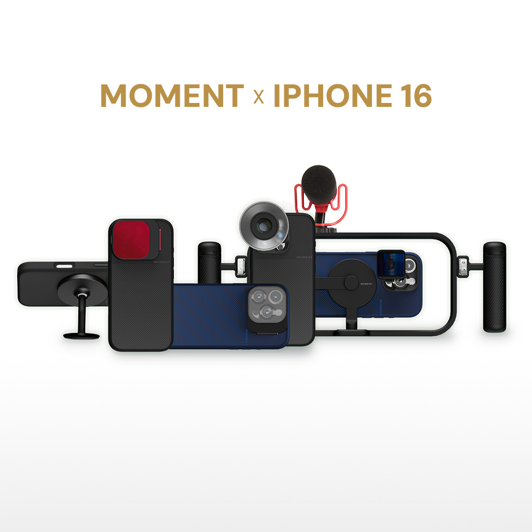 Moment tweet media
