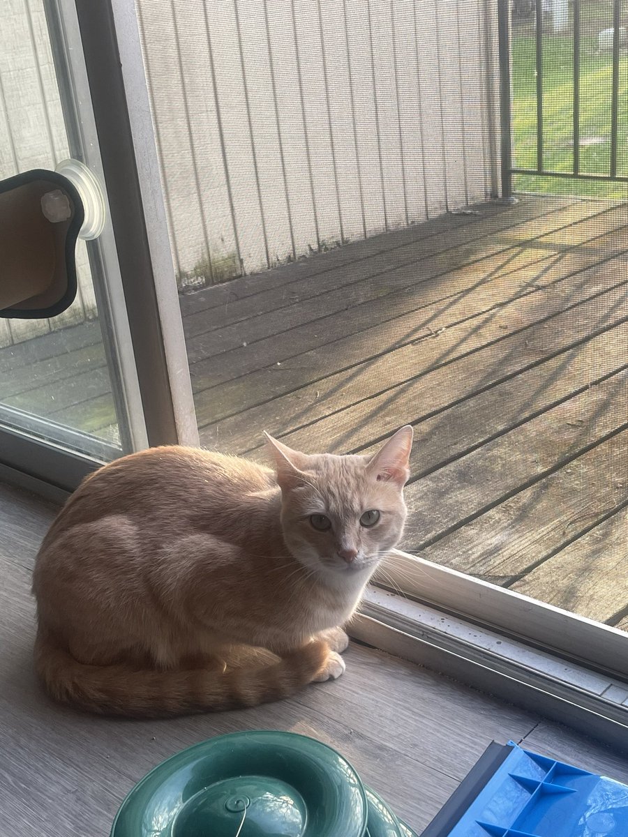 Ohio State Wexner Medical Center Urology Dept. tweet media