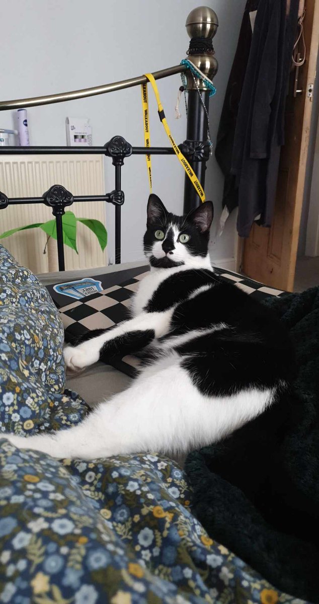 she's having a thought