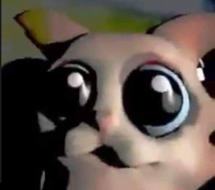 punkaurora's tweet photo. @SantiOkuu @SayrnTheStoner fuckin pig https://t.co/TycZ4Hkrjg