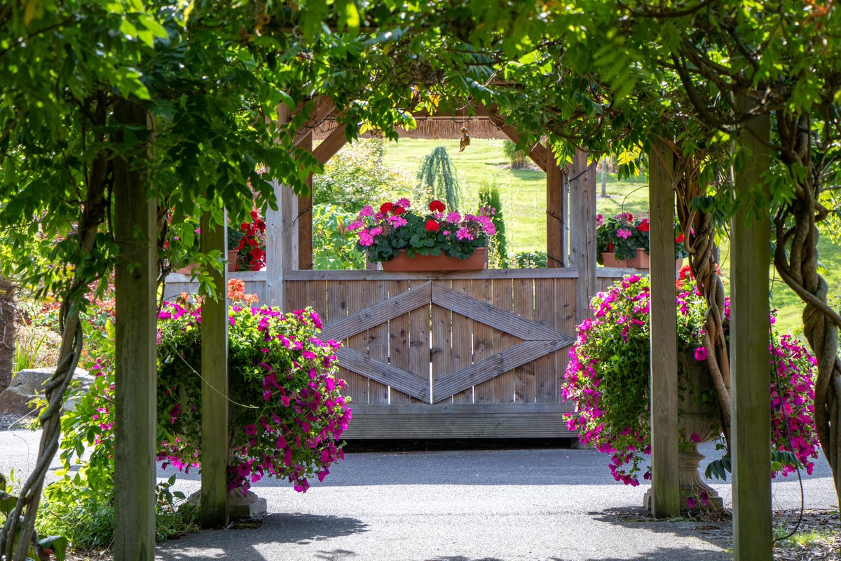 Fota Island Resort tweet media