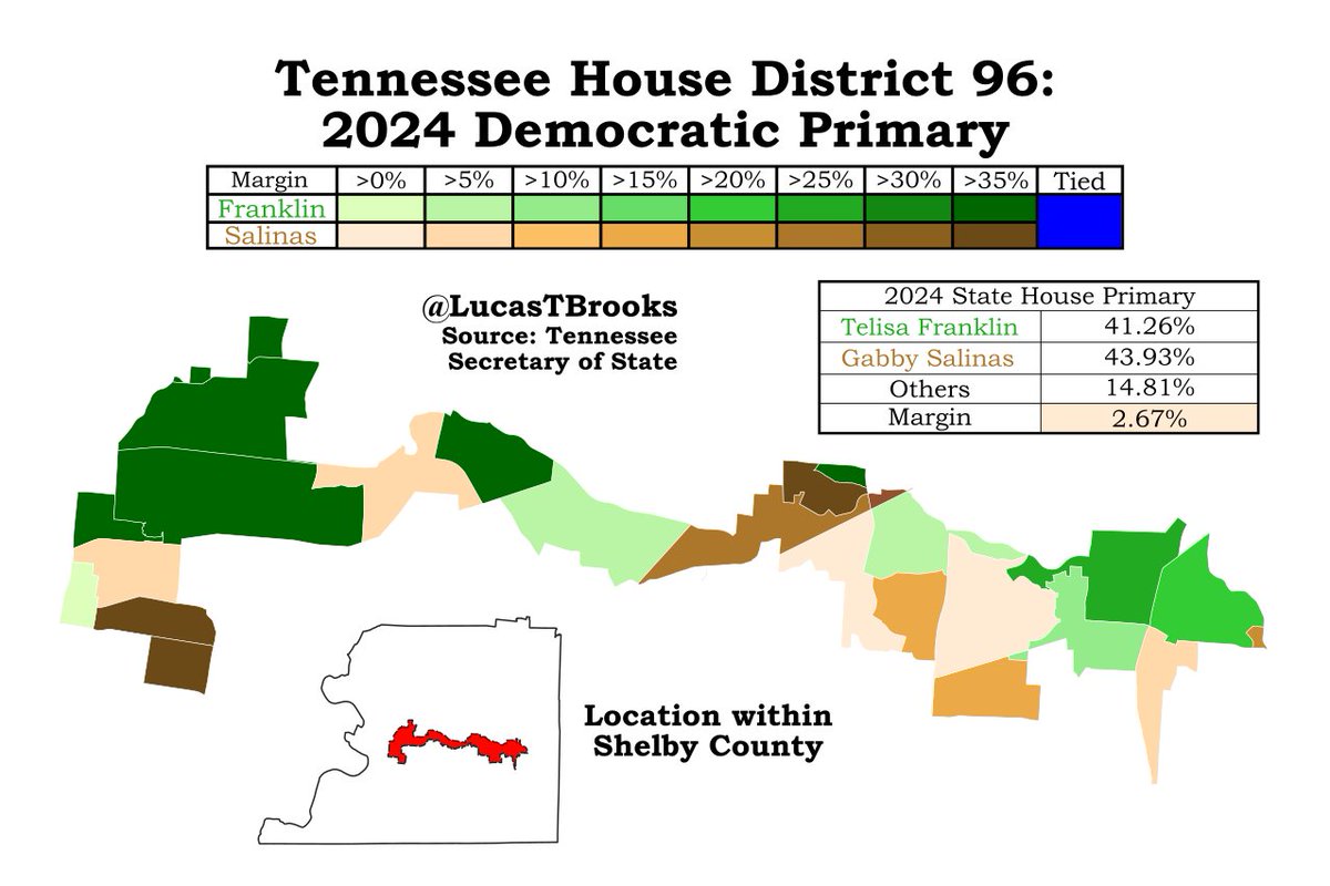 LucasTBrooks's tweet photo. Healthcare advocate @gabbysalinas won a tight August primary against Telisa Franklin by 132 votes. Salinas has no general election competition in this sprawling Memphis district, and will be the first Latina and queer woman to represent Shelby County in the TN General Assembly. https://t.co/lmDbMi0sZd