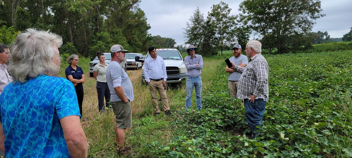 Ramdeo Seepaul (@theclodkicker) on Twitter photo The Reverse Field Day in Jefferson County, FL, organized by <a href="/kumar_rowcrops/">Shivendra Kumar</a>, was a success! Researchers toured Mr. Kirk Brock, Stephen Fulford, & Ernest Fulford’s farms, had insightful discussions on their practices, and gained valuable insights into local farming challenges. The Reverse Field Day in Jefferson County, FL, organized by <a href="/kumar_rowcrops/">Shivendra Kumar</a>, was a success! Researchers toured Mr. Kirk Brock, Stephen Fulford, & Ernest Fulford’s farms, had insightful discussions on their practices, and gained valuable insights into local farming challenges.