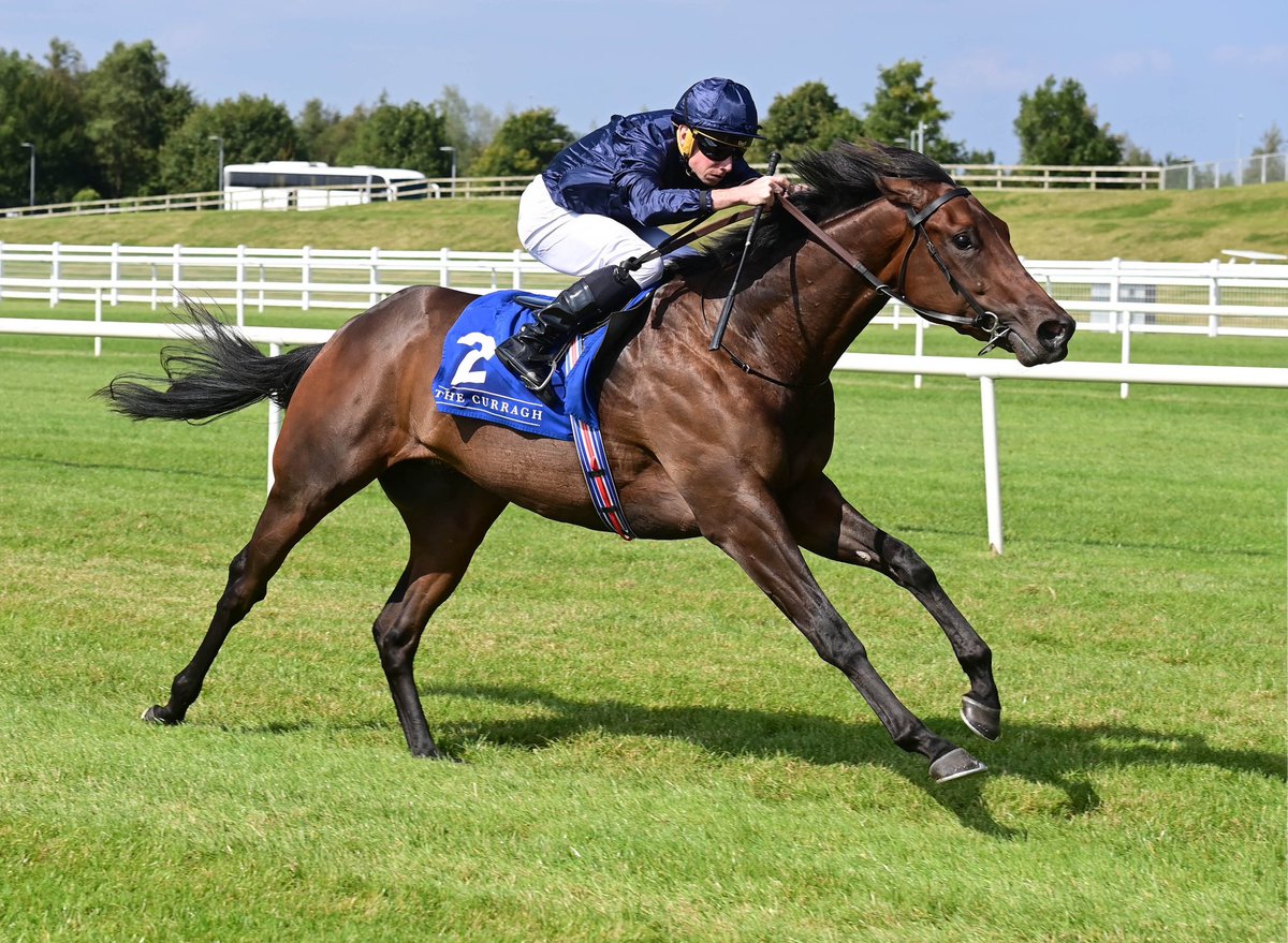 Weatherbys Limited (@weatherbysltd) on Twitter photo Wootton Bassett <a href="/RichardFahey/">Richard Fahey</a> landed the Weatherbys Scientific £300k 2-Y-O Stakes on this day in 2010.
It was one of the first years that Weatherbys sponsored the race and Wootton Bassett went on to Group 1 glory when taking the Prix Jean-Luc Lagardere a month later.
He has Wootton Bassett <a href="/RichardFahey/">Richard Fahey</a> landed the Weatherbys Scientific £300k 2-Y-O Stakes on this day in 2010.
It was one of the first years that Weatherbys sponsored the race and Wootton Bassett went on to Group 1 glory when taking the Prix Jean-Luc Lagardere a month later.
He has