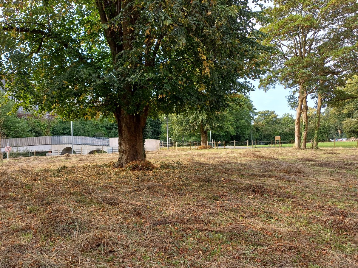 Jack Murphy tweet media