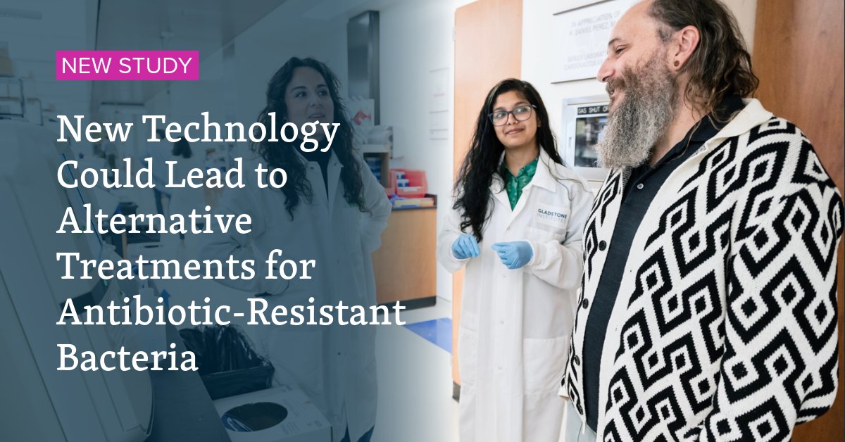 A team at Gladstone developed a technology that lets them edit the genomes of bacteria-fighting viruses, known as phages, in a streamlined and highly effective way.

Read more about this new study: bit.ly/3XIW4rL