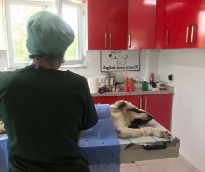 LisaClareRead2's tweet photo. The lovely @Lisaeljo and her daughter are walking 250 miles raising funds for @DogDeskAction
Please can you support them and pop a pound or two in their pot ๐ โฌ๏ธ
https://t.co/8mD0Te5moC
https://t.co/R2jvLWyiaD
(Ref:Lisa)
Thank you ๐๐๐พ
#k9hour #fundraising #MoveItForDogs https://t.co/jPoUNuXMsM