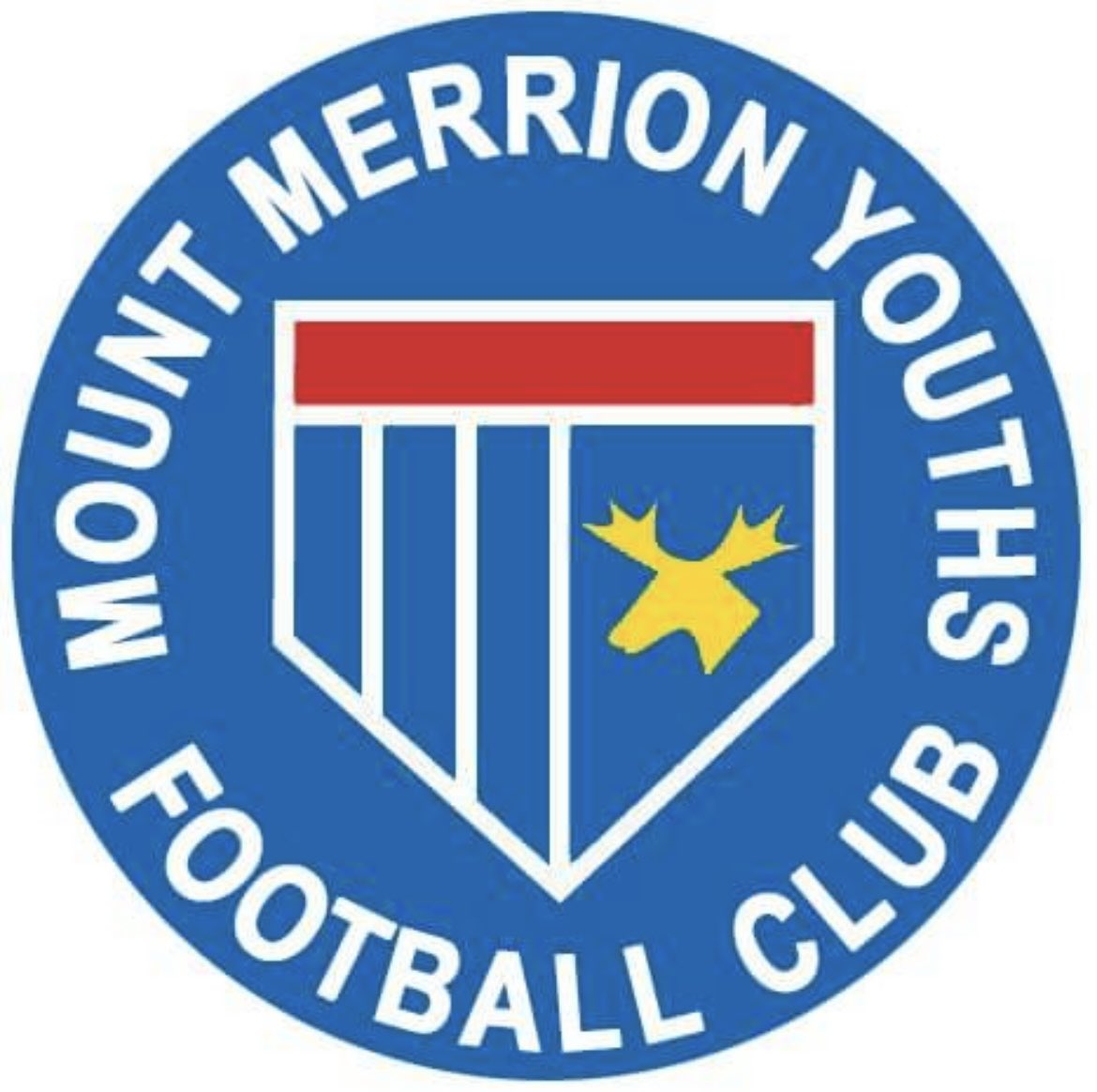 SVS FC tweet media
