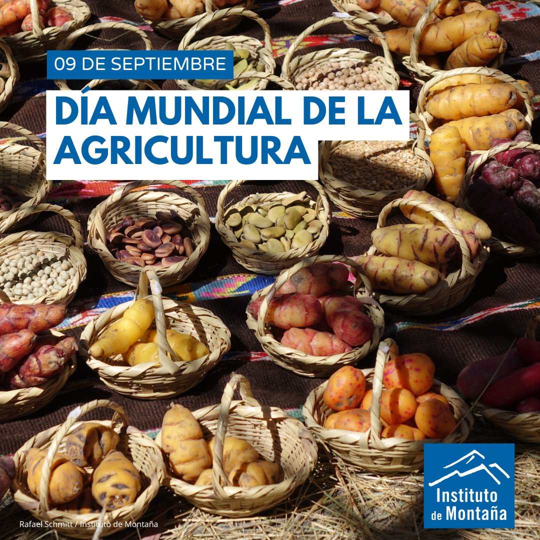 🌿Hoy celebramos el #DíaDeLaAgricultura, una fecha que nos recuerda la importancia de quienes trabajan la tierra y cultivan los alimentos que nutren a peruanos y peruanas. 🇵🇪
 ¡Gracias a mujeres y hombres agricultores que, con su esfuerzo, siembran vida y futuro para todos! 🌱