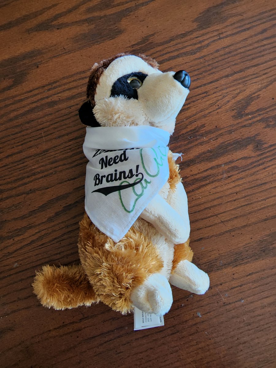 bentateauthor's tweet photo. Get ZNB editor avatar stuffed animals as add-ons plus 3 new #sff #anthologies at the @ZNBLLC @Kickstarter! https://t.co/InFNFknDjP #kickstarter #crowdfunding #amreading #amwriting #fantasy #urbanfantasy #horror #amreadingsff #amreadingfantasy https://t.co/qExLYnLsZI