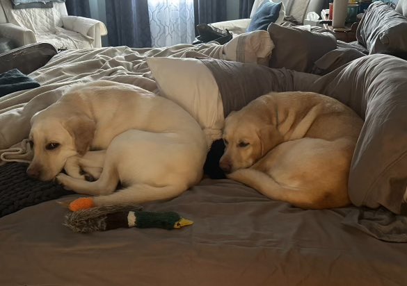 Jason English tweet media