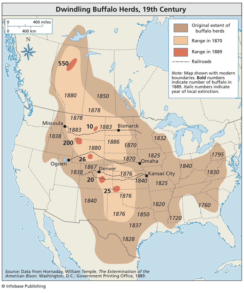 SeedOilDsrspctr's tweet photo. Make America Bison Again https://t.co/jwYtbPwfPI