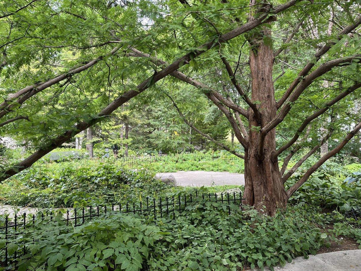 Amazing find along the Toronto harbour front with the Toronto music gardens. #loveparks <a href="/GreenFlagAwdInt/">Green Flag Award International</a> <a href="/TorontoPFR/">City of Toronto PFR</a> <a href="/cityoftoronto/">City of Toronto 🇨🇦</a>