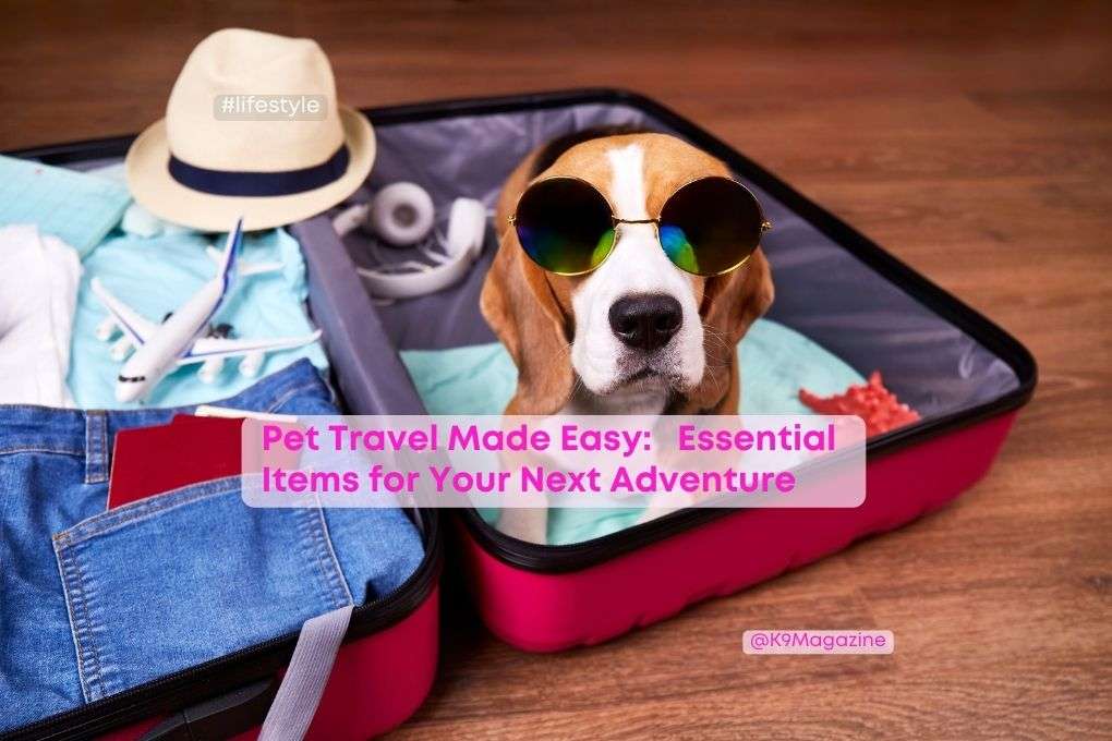 WOOF! Services tweet media