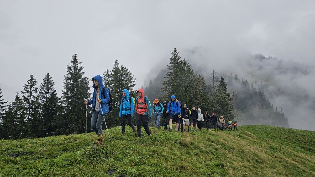 Laurence Strubbe tweet media