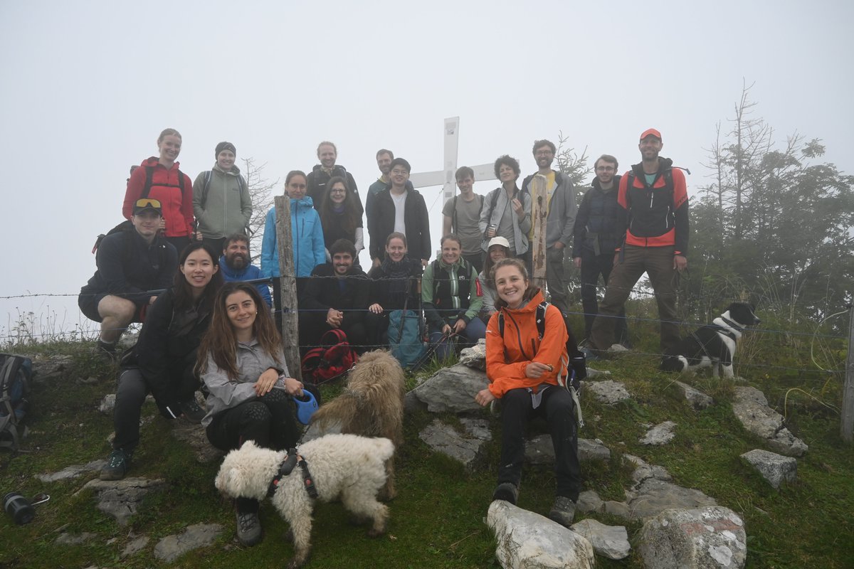 Laurence Strubbe tweet media