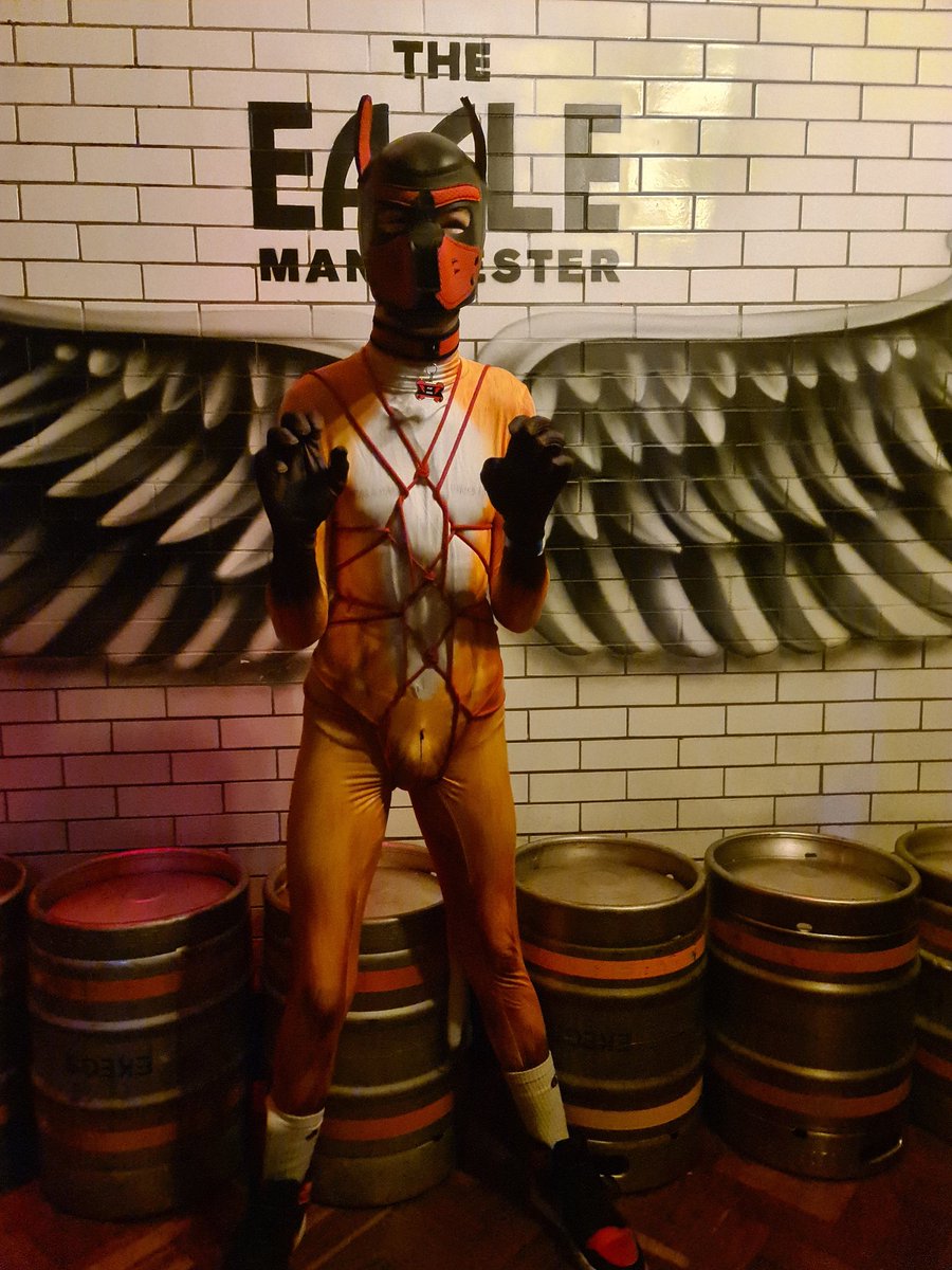 Had a fun time <a href="/Club_Collared/">Club Collared</a> this weekend and especially had fun with all the people I saw like this cutie <a href="/PupRoux212/">Pup Roux</a> who was especially adorable in my ropes. Isn't he such a good boy.