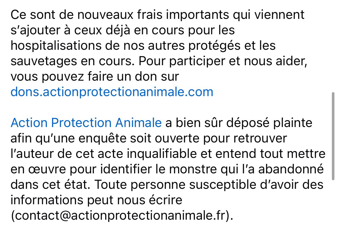 ActionAnimale's tweet photo. Ce tout petit bébé d’un mois et demi a été découvert mourant aujourd’hui à l’étang de Clichy-sous-Bois. https://t.co/ZB3nt5ybji