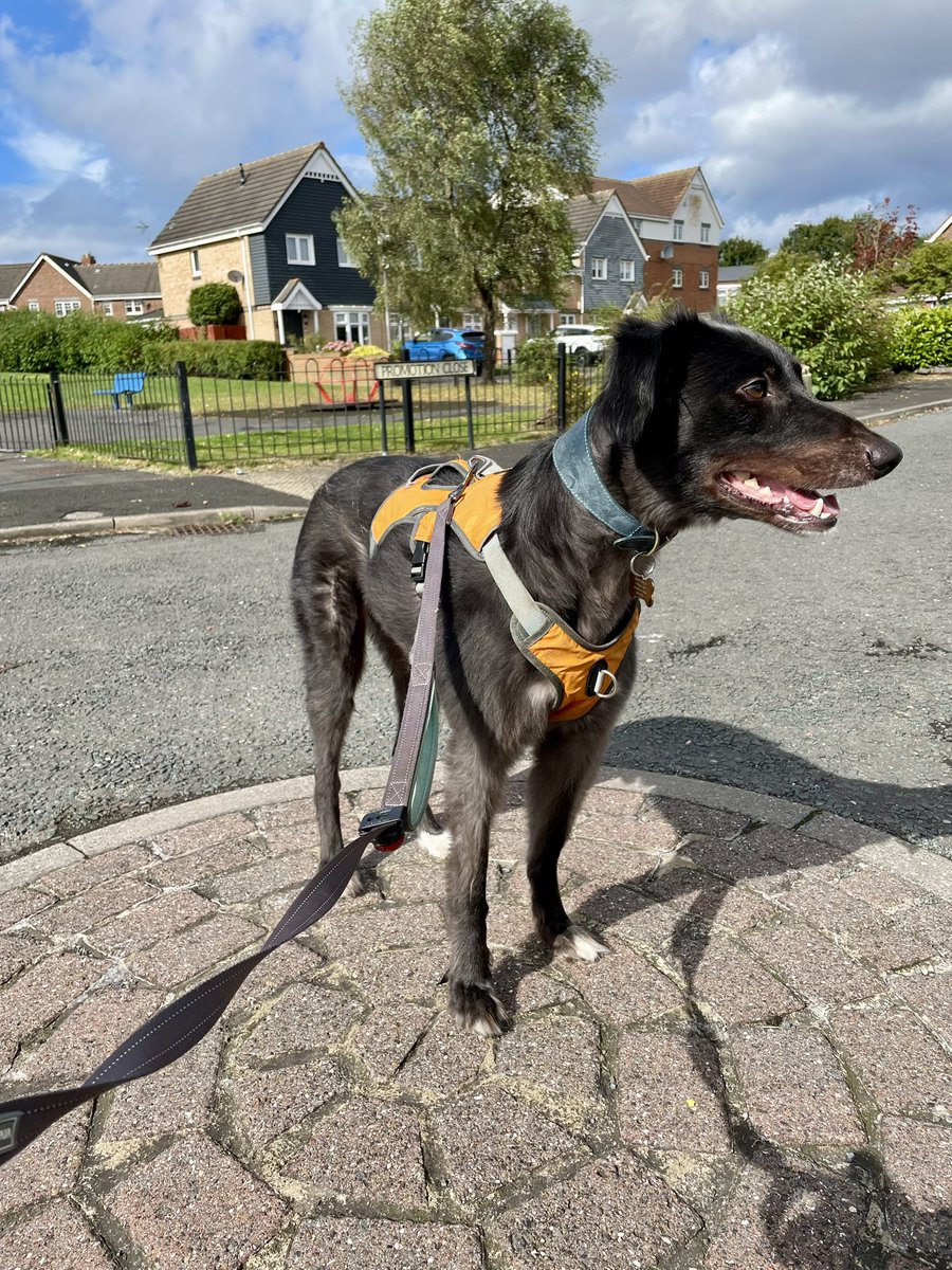 Today I visited a very special spot for supporters of a red and white persuasion