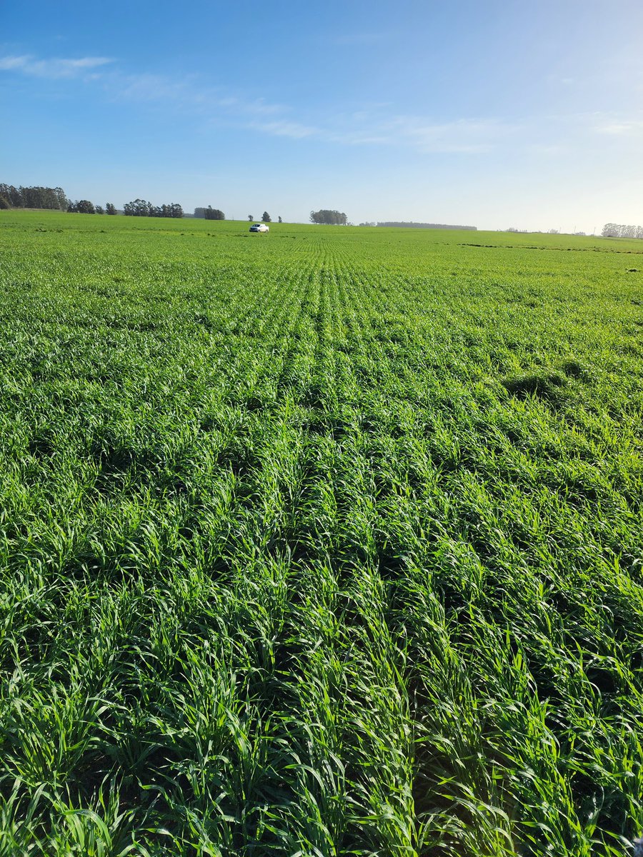 9 de set 
Día mundial de la agricultura 🫶🏼🤝🏼