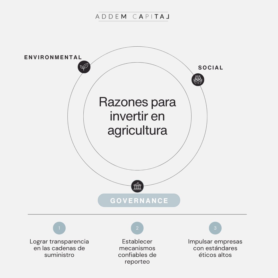 Addem Capital tweet media