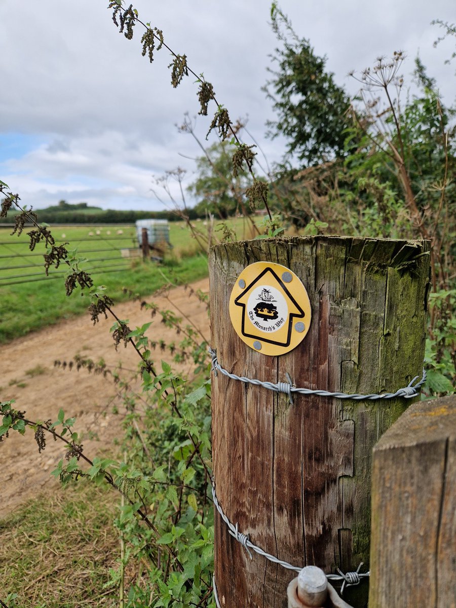 Susana Escobar (@guslegend) on Twitter photo Chipping Campden to Stratford-upon-avon via <a href="/Monarchsway/">The Monarchs Way</a> Barely passable for a bit before the Greenway otherwise glorious Chipping Campden to Stratford-upon-avon via <a href="/Monarchsway/">The Monarchs Way</a> Barely passable for a bit before the Greenway otherwise glorious