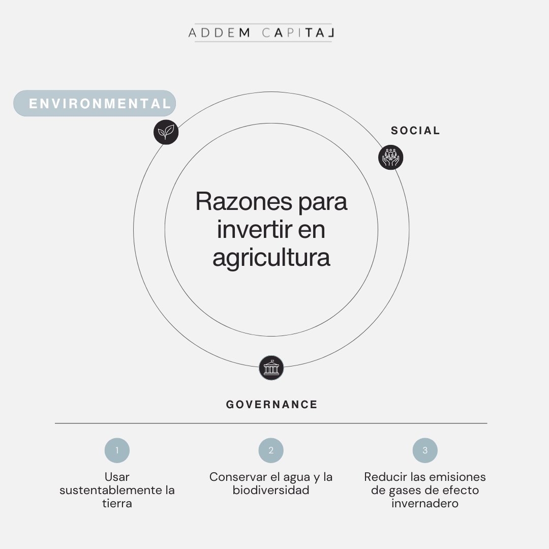 Addem Capital tweet media
