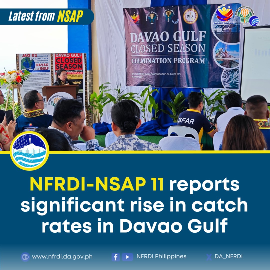DA_NFRDI's tweet photo. NFRDI-NSAP in Region 11 presented updates on the status of fish stocks in Davao Gulf during the culmination program celebrating the 11th year of implementing DA-DILG JAO No. 2, series of 2014.
MORE: https://t.co/b4eF0LutzJ
#NSAP #NFRDINSAP11 #fishstocks https://t.co/FkEOnZqizw