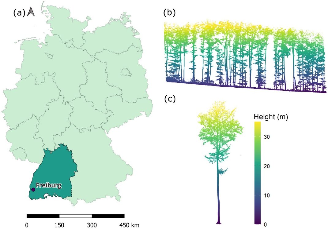 Forestecosyst's tweet image. #European #beech trees with optimal branch traits thrive under #drought stress—paving the way for stronger #forest resilience！🌲
sciencedirect.com/science/articl…