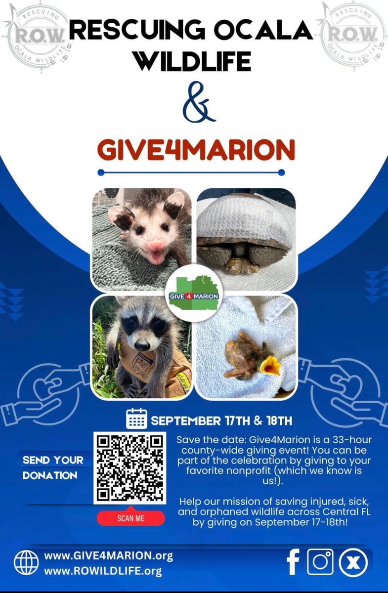 tiffenator's tweet photo. #Give4Marion is coming up on 9/17-9/18! Help @ROWildlife raise money to help save injured, sick and orphaned animals in Lake, Sumter, Citrus and Marion Counties. https://t.co/iJs8snwDa7