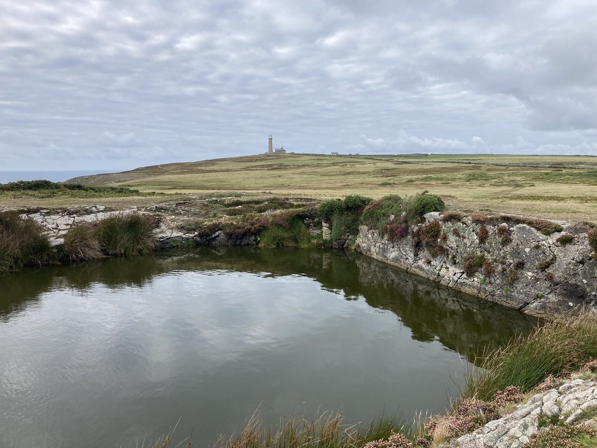 Missing these views so much right now <a href="/LundyLandmark/">Lundy</a>