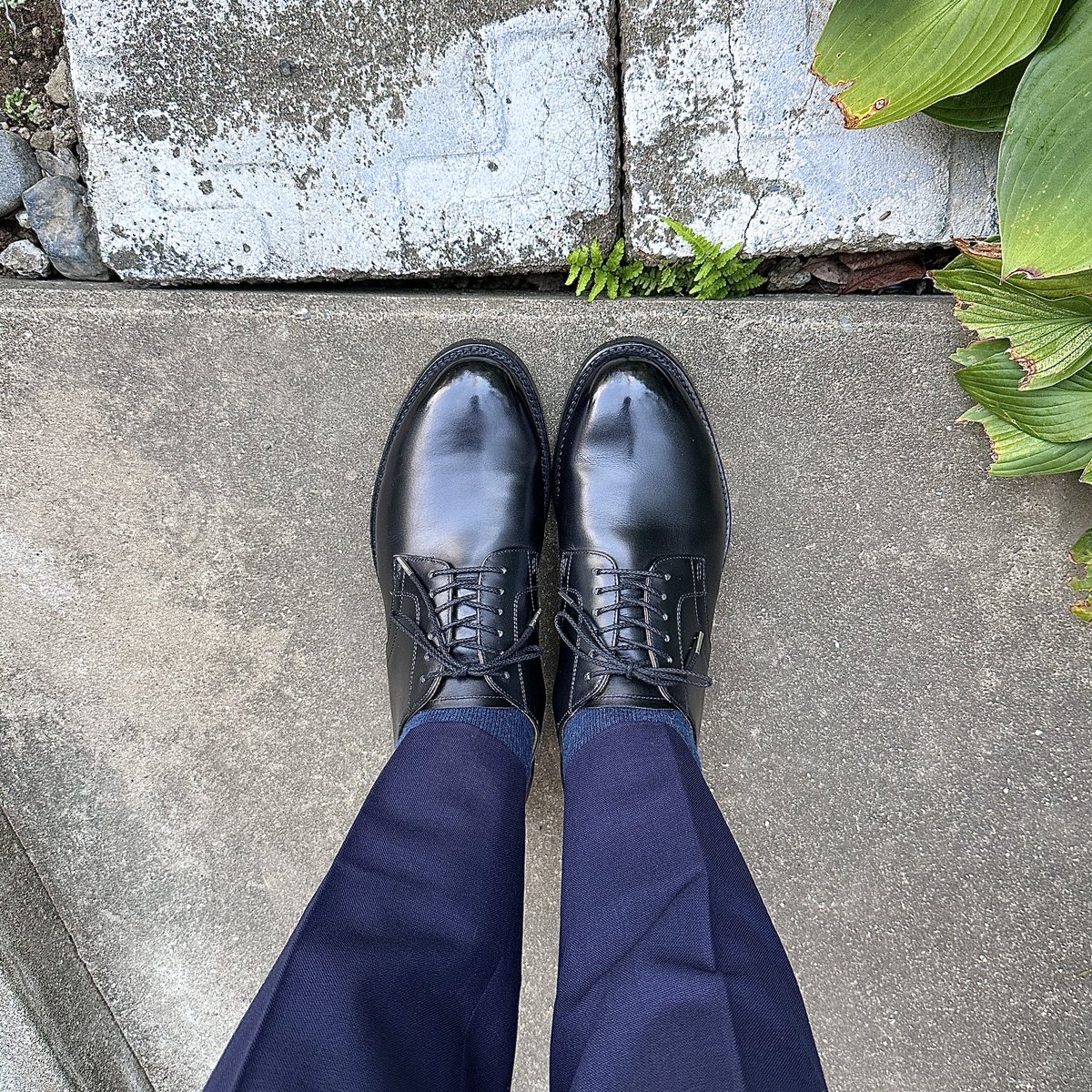 sthkzn's tweet image. Brother Bridge
Foremost with kutsu-en
STAYGOLD WWII

久しぶりに履きました。
この履き心地は本当に良いですね。

#brotherbridge #foremost #kutsuen #staygold #staygoldwwii #shoes #mensshoes #ブラザーブリッジ #フォアモスト #靴縁 #ステイゴールド #紳士靴 #革靴 #sotd