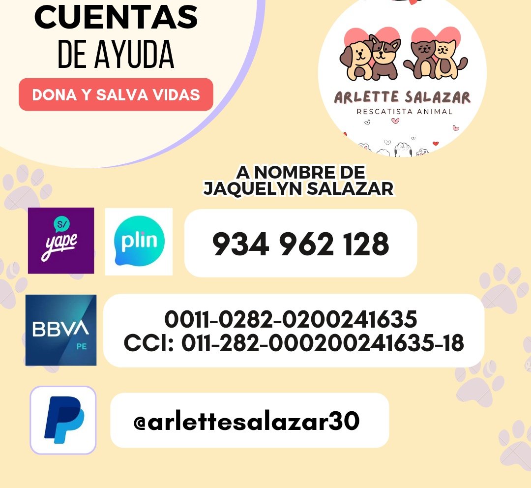 _arlettesalazar's tweet photo. NO HAY AYUDA PARA #Misky 💔
No se ha logrado recaudar para los pañalitos del mes para Misky, ella es una gatita discapacitada por lo que necesita pañales diarios para orinar, pañitos húmedos, crema para tener calidad de vida

🚨Yape/plin 934 962 128 Jaquelyn Salazar #RT todos 🙏🏼 https://t.co/axnhVvwxLc