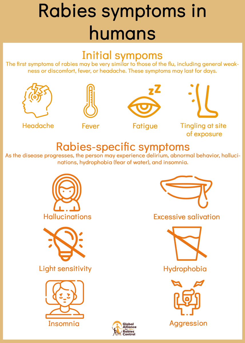 Today, I saw a video of a child with rabies and it broke my heart. I ...