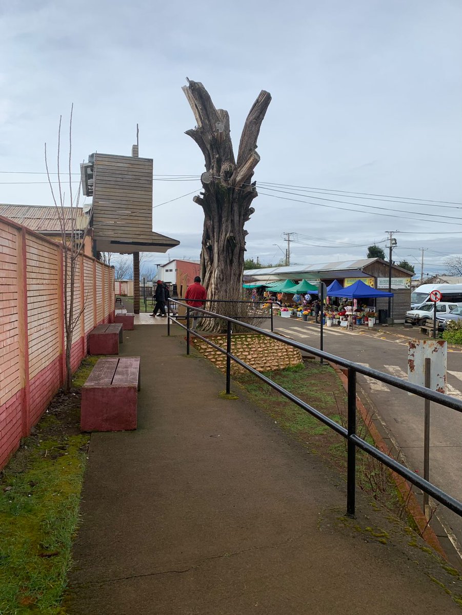 ¿En #Mulchén habrán candidat@s que quieran comprometerse con el verde urbano?

Este es un problema país y te lo demostramos en este álbum colaborativo que tenemos en fb, atent@ a las actualizaciones

web.facebook.com/media/set/edit…