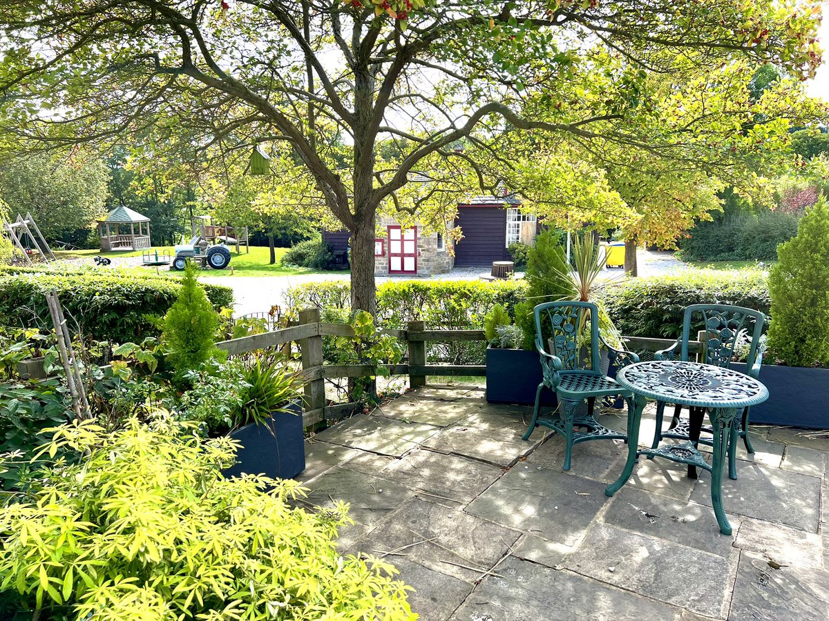 Reece Dinsdale tweet media