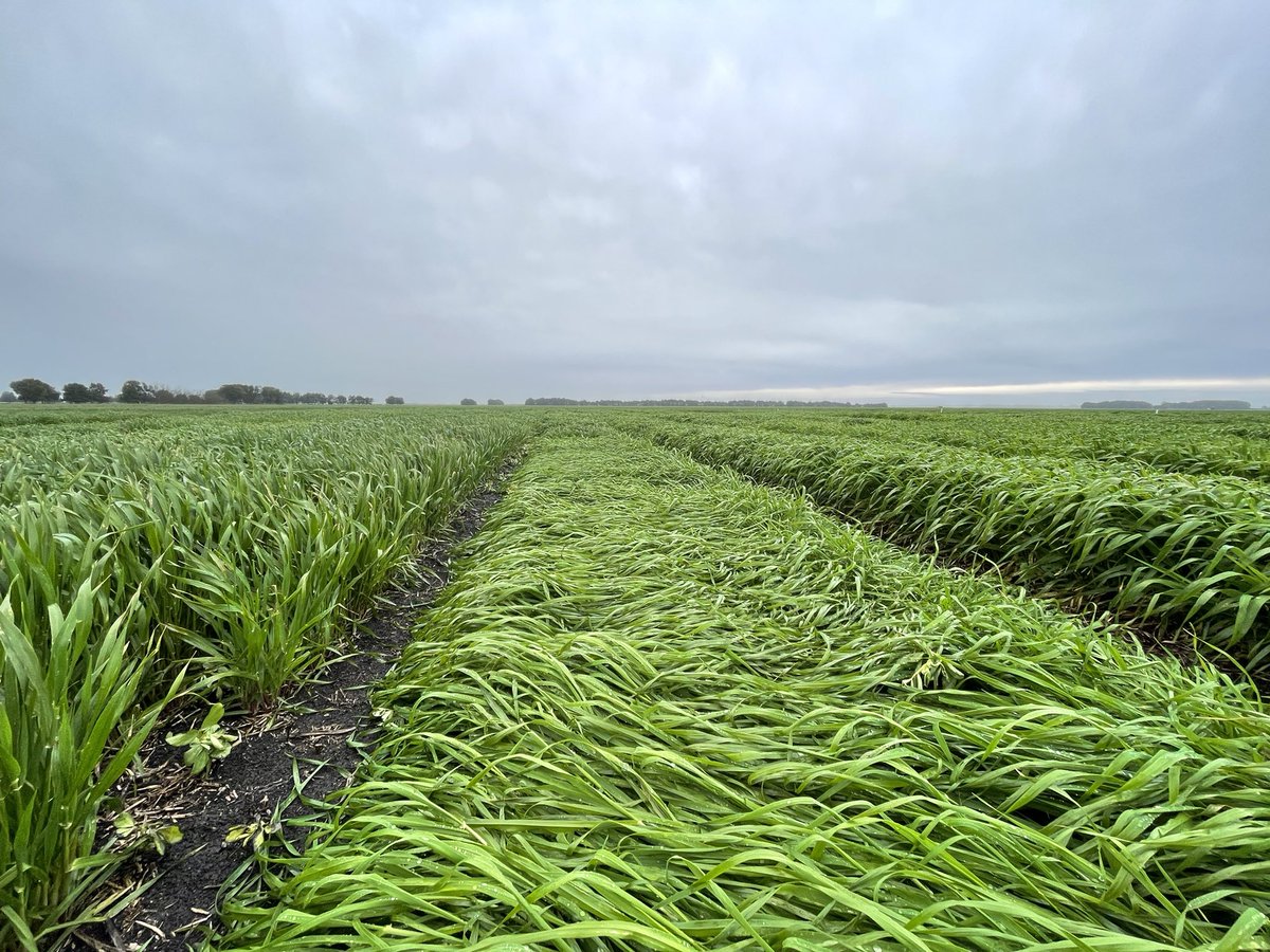 Adam Hancock tweet media