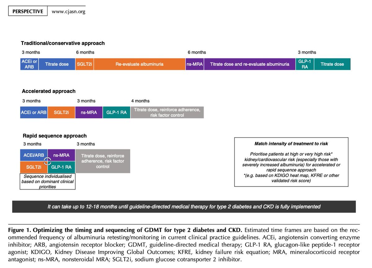 In this month's issue of @CJASN - 

Optimizing the timing an sequencing of kidney protective therapies in CKD

journals.lww.com/cjasn/fulltext…

#kidneyGDMT #4pillarsCKD